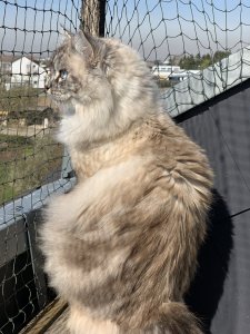 2019-03-20 10.53.50.jpg