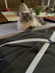 2019-03-21 06.35.26.jpg