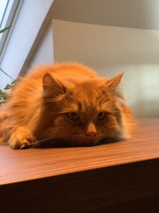 2019-04-13 19.48.53.jpg