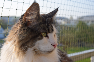 Balkon_AP19 3 (159).png