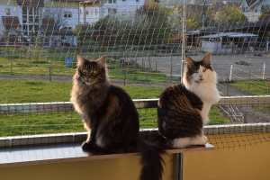 Balkon_AP19 3 (32).png