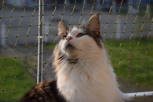 Balkon_AP19 3 (62).png