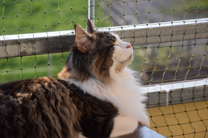 Balkon_AP19 3 (98).png