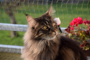 Balkon_AP19 3 (109).png