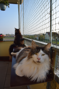 Balkon_AP19 3 (124).png