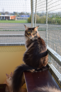 Balkon_AP19 3 (134).png