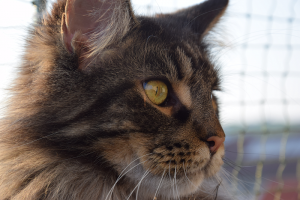 Balkon_AP19 3 (145).png