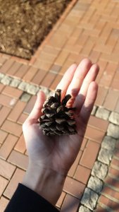 WhatsApp Image 2019-04-18 at 18.19.22.jpeg