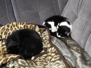 DSCN1933 (Kopie).JPG