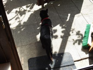 DSCN1940 (Kopie).JPG