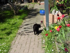 DSCN1938 (Kopie).JPG