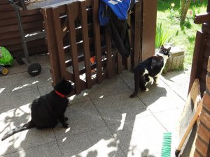 DSCN1944 (Kopie).JPG