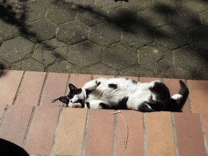 DSCN1948 (Kopie).JPG