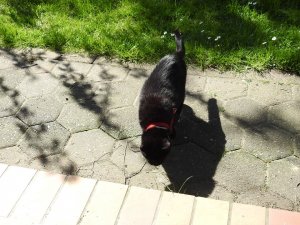 DSCN1949 (Kopie).JPG