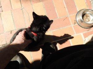 DSCN1950 (Kopie).JPG