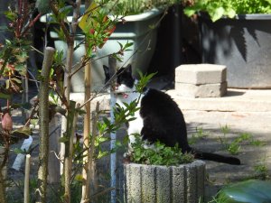 DSCN1946 (Kopie).JPG