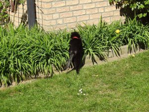 DSCN1960 (Kopie).JPG