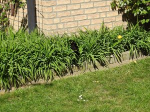 DSCN1961 (Kopie).JPG