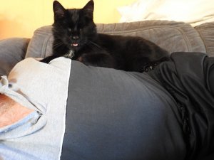 DSCN1963 (Kopie).JPG