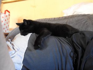 DSCN1967 (Kopie).JPG