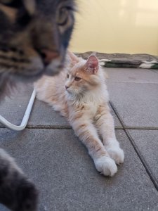 photo_2019-04-21_19-15-54 (2).jpg