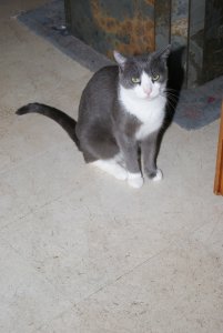 DSC02261.JPG DSC02261.JPG