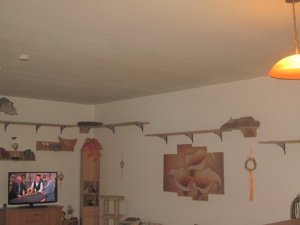 IMG_8874.JPG IMG_8874.JPG