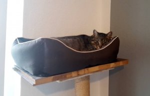 Timmy_nWhg_002.jpg Timmy_nWhg_002.jpg