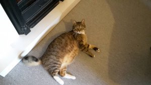 Timmy_nWhg_003.jpg Timmy_nWhg_003.jpg