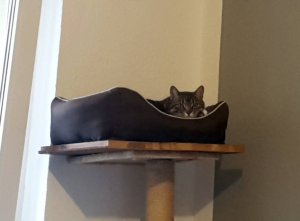 Timmy_nWhg_004.jpg Timmy_nWhg_004.jpg