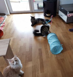 photo_2019-05-01_19-59-02 (2).jpg