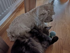 photo_2019-05-01_19-59-02 (3).jpg