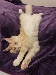 photo_2019-05-01_19-59-03 (2).jpg