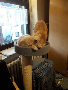 20190426_193005 (1).jpg