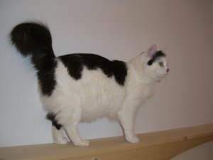 20090108 CIMG4239.JPG