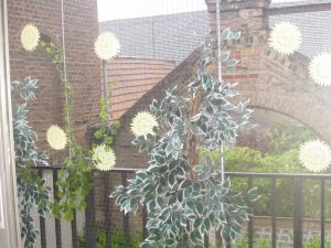 IMG_8985.JPG IMG_8985.JPG