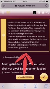 2F44FF98-1283-4682-9B75-2578B2A94032.jpeg 2F44FF98-1283-4682-9B75-2578B2A94032.jpeg