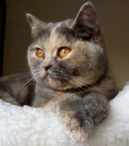 2019-01-19 11.21.58.jpg