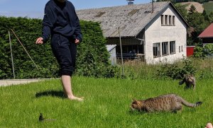 Point Blur_Jun012019_102049.jpg