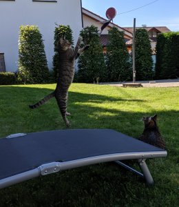 Point Blur_Jun012019_205327.jpg