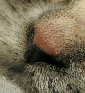 2018-05-23 12.21.22.jpg