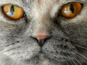 2019-04-08 16.22.57.jpg