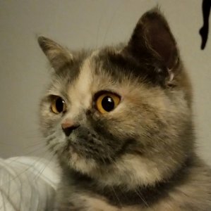 2019-03-18 21.31.17.jpg