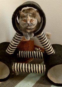 2019-04-19 07.38.17.jpg