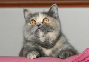 2019-03-04 23.54.25.jpg