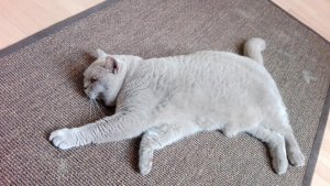 IMG_20190604_110030.jpg IMG_20190604_110030.jpg