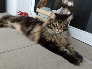 WhatsApp Image 2019-06-09 at 15.39.48.jpeg