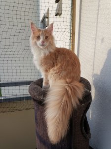 WhatsApp Image 2019-06-09 at 20.20.24.jpeg