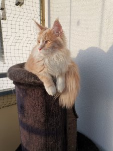 WhatsApp Image 2019-06-09 at 20.22.07.jpeg