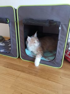 photo_2019-06-18_14-53-41 (2).jpg